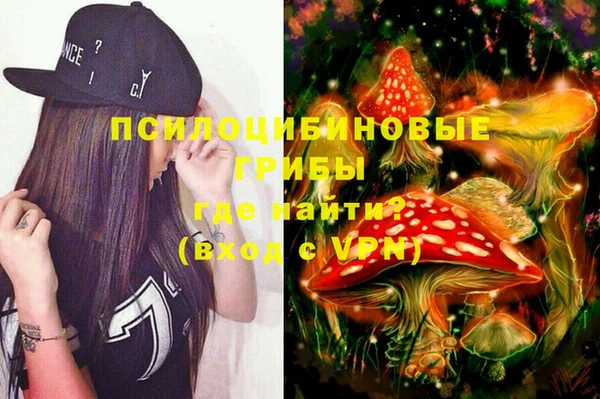 трава Бронницы